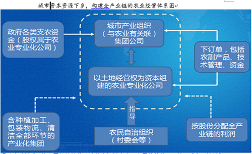 中国经济体制改革基金会杨庆育：重庆统筹城乡综改案例及深化改革方向