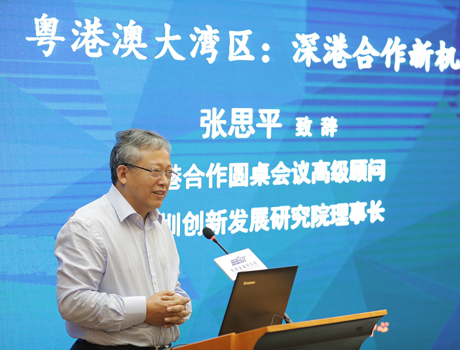 中国经济体制改革基金会张思平：在粤港澳大湾区再造几个香港                                                                  